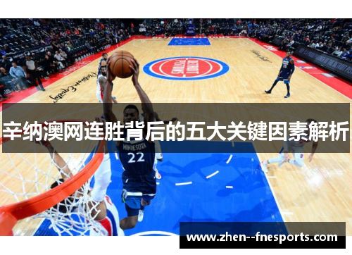 辛纳澳网连胜背后的五大关键因素解析